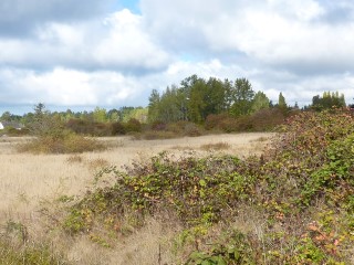 Picture of Point Roberts Parcel Number 405303-167071